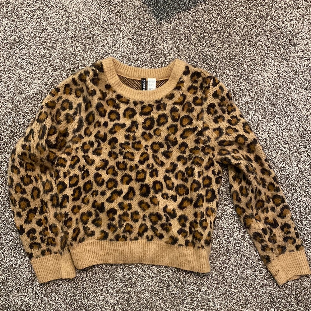Leopard Print Sweater